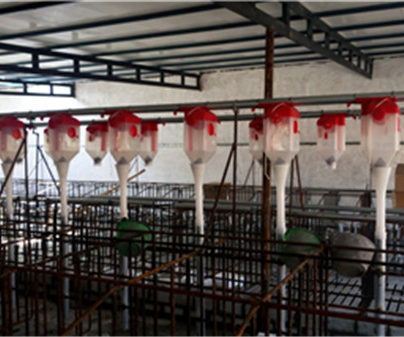 上海养猪自动化料线